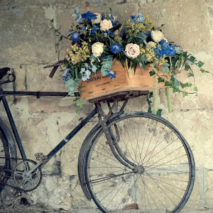 Brocante